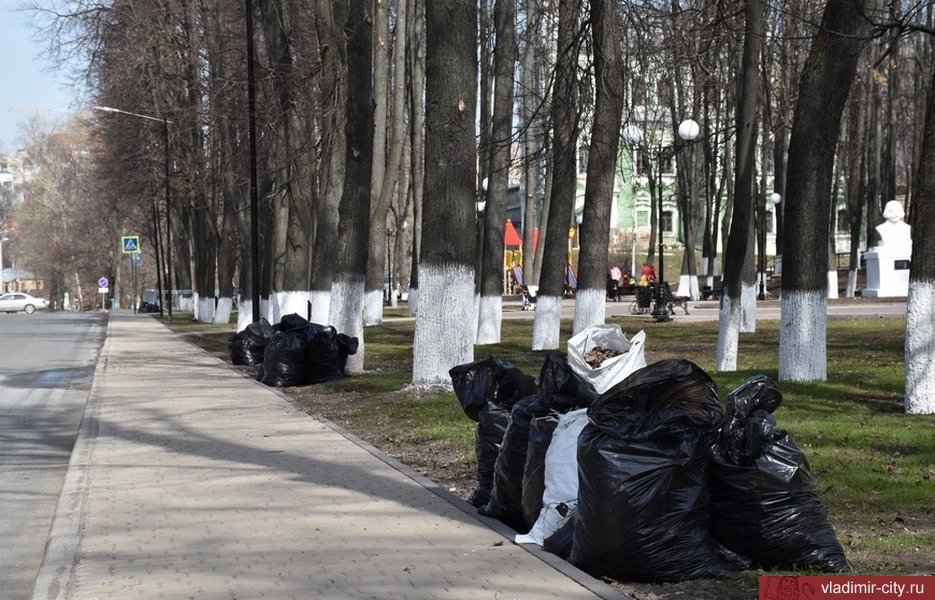 Во Владимире начался осенний месячник по благоустройству и санитарной очистке города