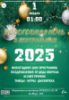 «Новогодняя ночь — 2025» в парке «Добросельский» «Новогодняя ночь — 2025» в парке «Добросельский»