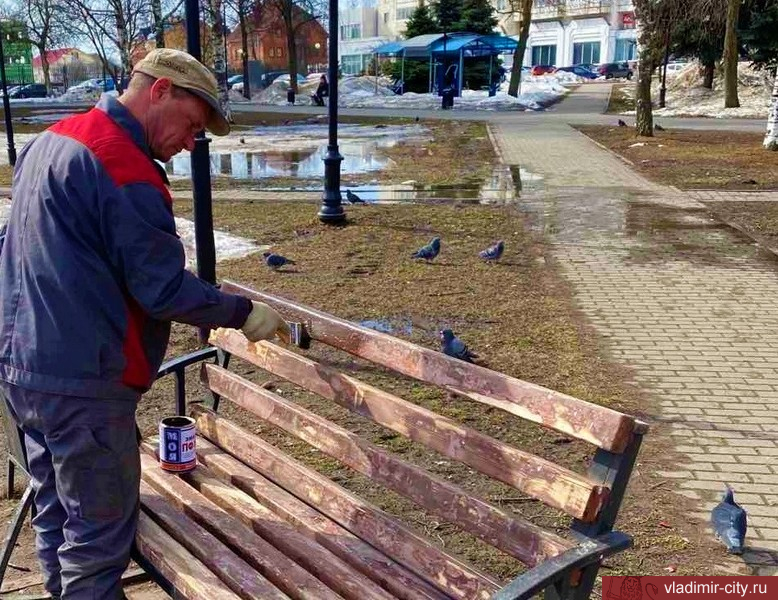 Месячник по весеннему благоустройству: во Владимире высадили первые 50 деревьев