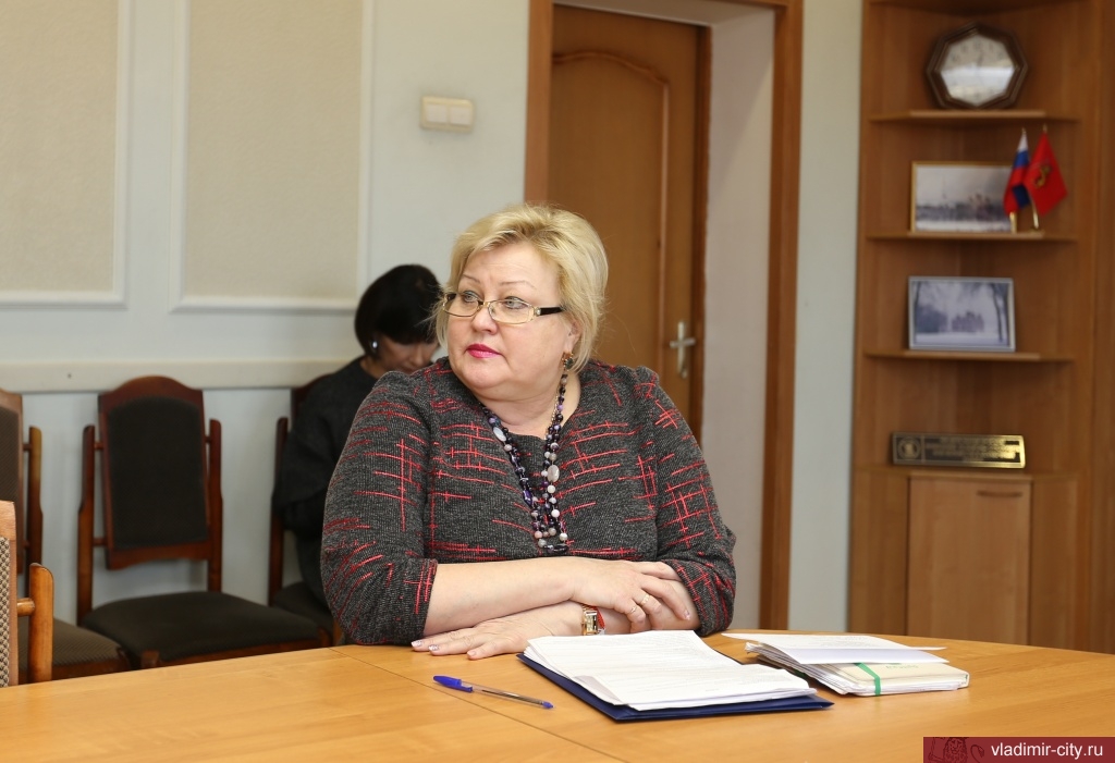 На комитете по мсу депутаты обсудили  меры профилактики правонарушений во Владимире
