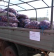 Информация для горожан Информация для горожан