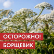 АДМИНИСТРАЦИЯ ФРУНЗЕНСКОГО РАЙОНА ИНФОРМИРУЕТ АДМИНИСТРАЦИЯ ФРУНЗЕНСКОГО РАЙОНА ИНФОРМИРУЕТ