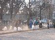 Итоги субботника Итоги субботника