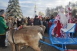 В праздники на лошадях и повозках будут катать возле «Руськино» В праздники на лошадях и повозках будут катать возле «Руськино»