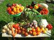 День улицы Горького День улицы Горького