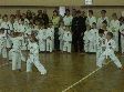 Итоги I Международного детского турнира по карате (ката) на кубок председателя Совета народных депутатов города Владимира Итоги I Международного детского турнира по карате (ката) на кубок председателя Совета народных депутатов города Владимира