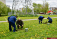 «Во Владимире весной высадили более 300 деревьев»