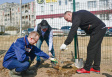 В первом весеннем субботнике участвовали более 20 тысяч человек В первом весеннем субботнике участвовали более 20 тысяч человек