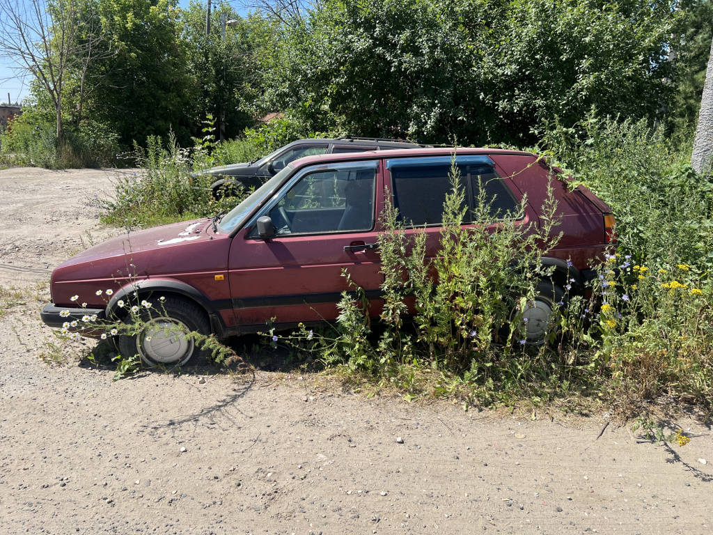 ������������� ������������ ������ �����������
