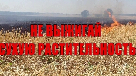 Не допустить природных пожаров Не допустить природных пожаров