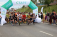 1500 жителей Владимира зарегистрировались на участие в «Зелёном марафоне» 1500 жителей Владимира зарегистрировались на участие в «Зелёном марафоне»