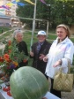 День урожая День урожая