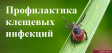 О мерах по профилактике инфекций, передающихся клещами О мерах по профилактике инфекций, передающихся клещами