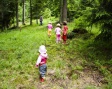 Как детям не заблудиться в лесу