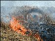 Внимание! Близится пожароопасный период
Внимание! Близится пожароопасный период
