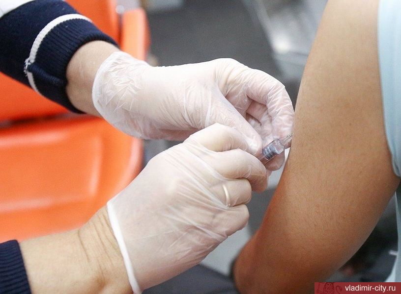 Почти 173,7 тыс. владимирцев вакцинировались против коронавируса