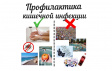 О ПРОФИЛАКТИКЕ ОСТРЫХ КИШЕЧНЫХ ИНФЕКЦИЙ О ПРОФИЛАКТИКЕ ОСТРЫХ КИШЕЧНЫХ ИНФЕКЦИЙ