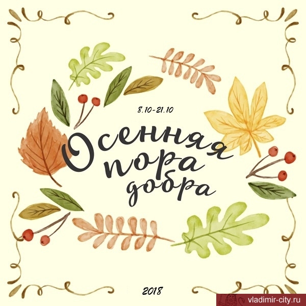 Во Владимире началась «Осенняя неделя добра»