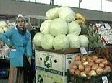 Где будем осенью овощи покупать Где будем осенью овощи покупать