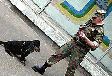 Поможем «силовикам» в борьбе с терроризмом
Поможем «силовикам» в борьбе с терроризмом
