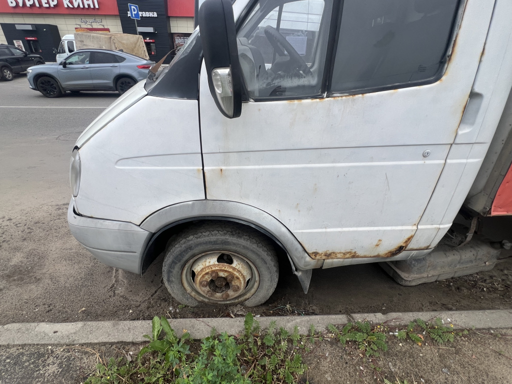 ������������� ������������ ������ �����������