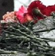 30 октября - День памяти жертв политических репрессий 30 октября - День памяти жертв политических репрессий