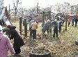 Навели порядок в сквере Навели порядок в сквере