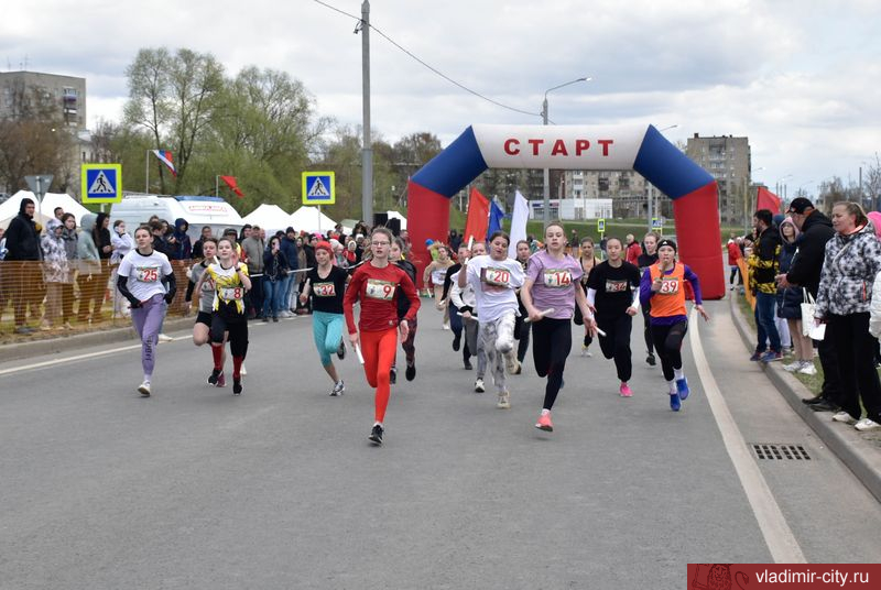 Во Владимире прошел спортивный праздник, посвященный Дню Победы