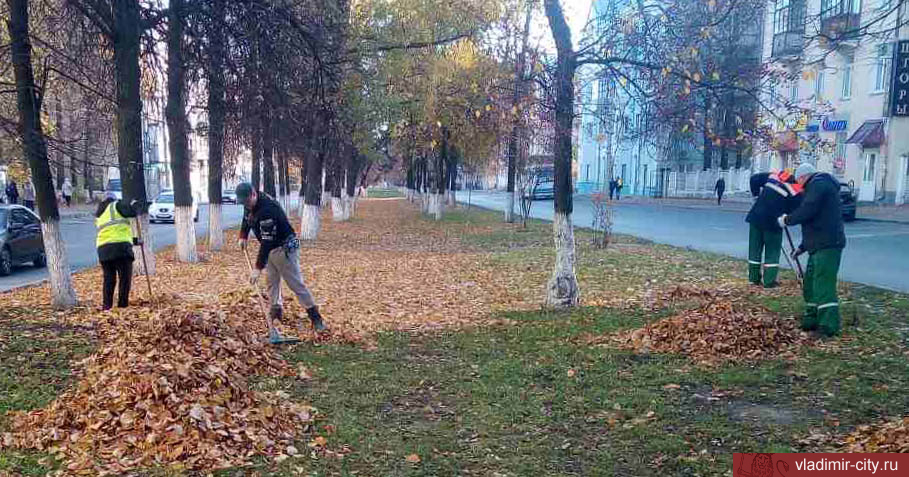 Во Владимире ежедневно идут работы по осеннему благоустройству города
