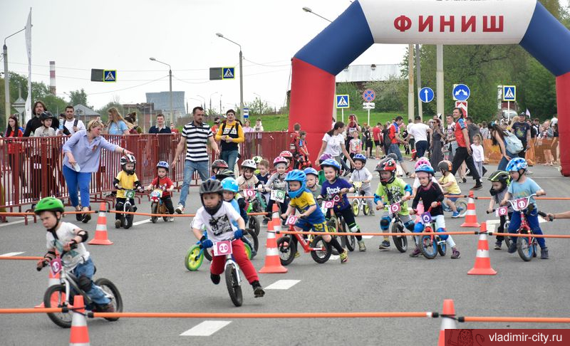 Во Владимире прошел спортивный праздник, посвященный Дню Победы