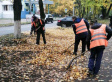 Осенняя уборка Владимира идет ежедневно Осенняя уборка Владимира идет ежедневно