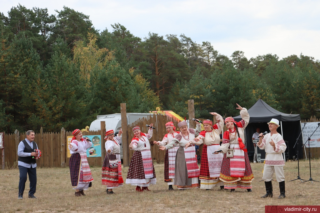 В Загородном парке Владимира прошел исторический фестиваль «Александрова дорога»