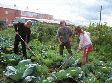 Конкурс для работодателей Конкурс для работодателей