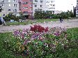 Внимание - конкурс Внимание - конкурс