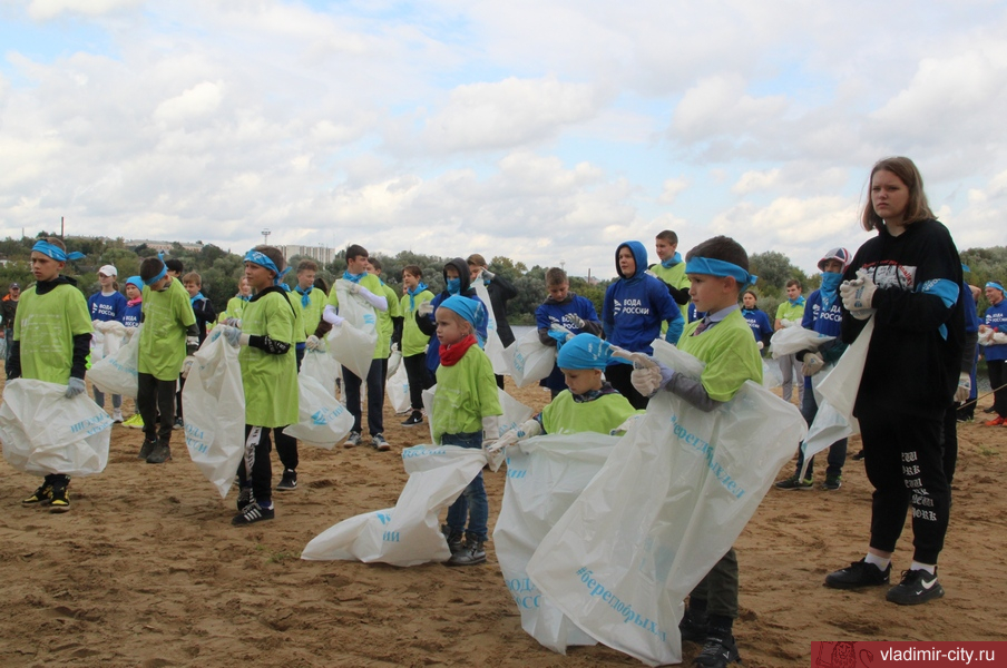 Юные владимирцы провели эко-акцию по сбору мусора в пойме Клязьмы