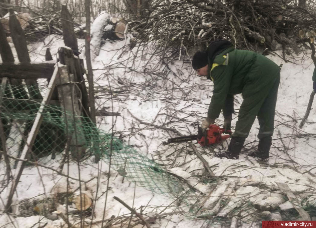 МКУ «Благоустройство» убирает снег с общественных пространств и вывозит порубочные остатки