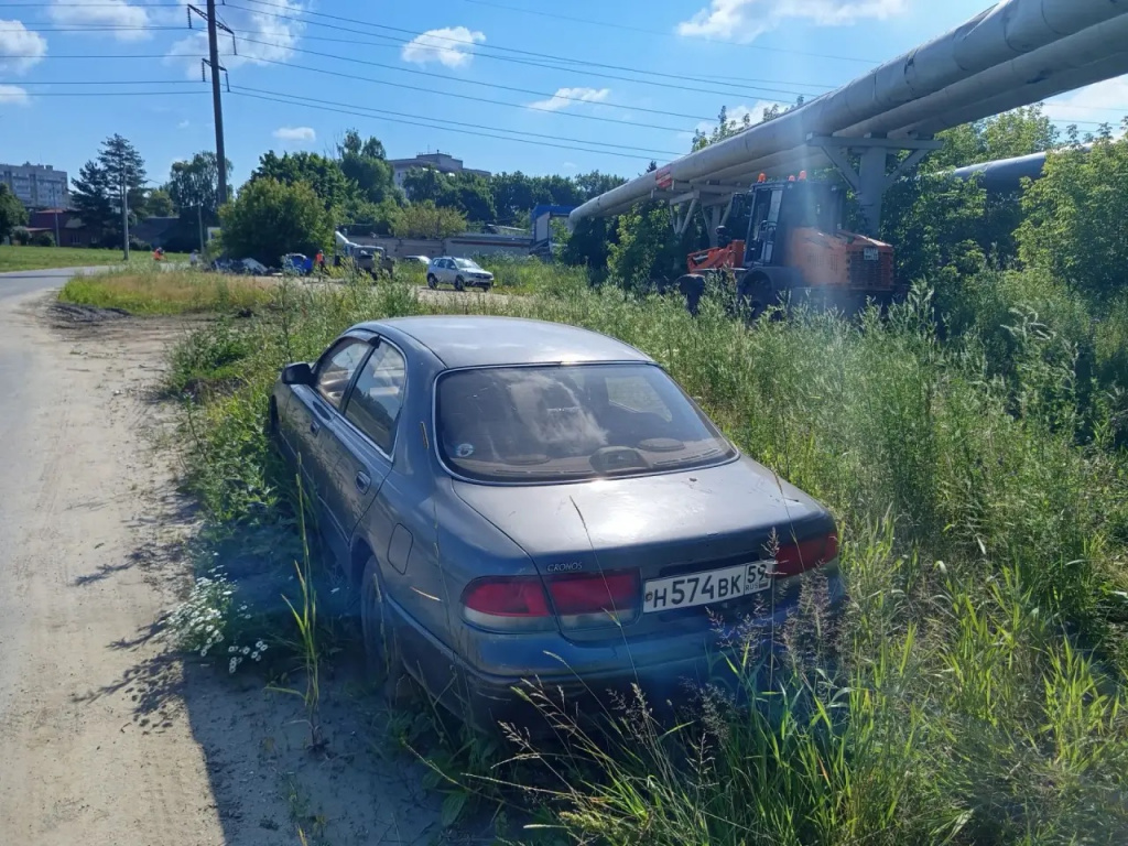 ������������� ������������ ������ �����������
