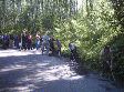 Экодесант в роще «Сосенки»
Экодесант в роще «Сосенки»