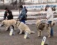 Выходные в парках Выходные в парках
