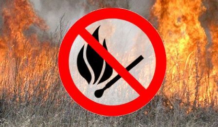 Не допустить пожаров Не допустить пожаров