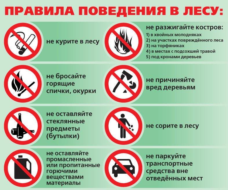 АДМИНИСТРАЦИЯ ФРУНЗЕНСКОГО РАЙОНА ИНФОРМИРУЕТ АДМИНИСТРАЦИЯ ФРУНЗЕНСКОГО РАЙОНА ИНФОРМИРУЕТ