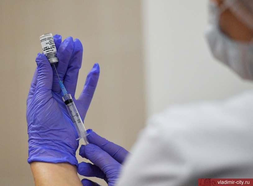 Владимирцы могут сделать прививку от ковида в 20 пунктах вакцинации