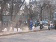 Начался месячник благоустройства и очистки города Начался месячник благоустройства и очистки города