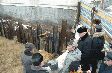 Укрепление стены дома продолжается Укрепление стены дома продолжается