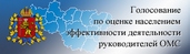 Оценка эффективности деятельности органов местного самоуправления городских округов и муниципальных районов Владимирской области